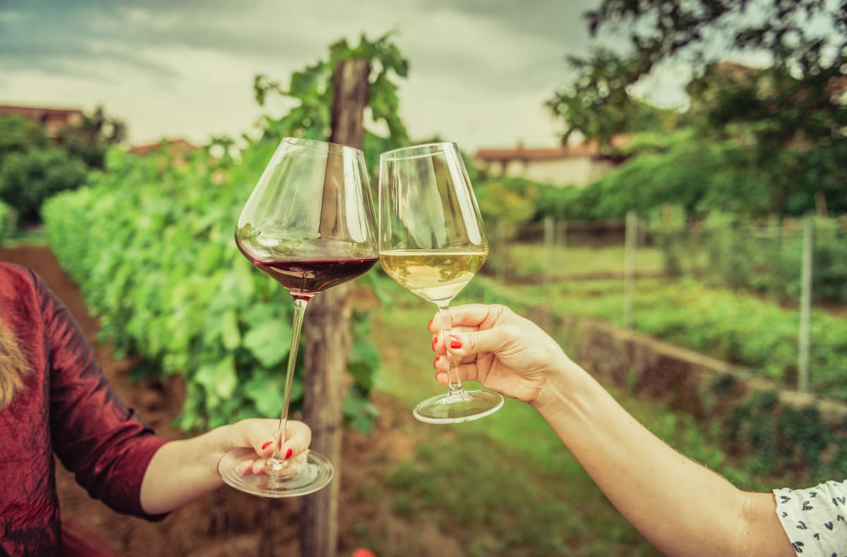 Migliori vini italiani Vinitaly 2024: dal 14 al 17 Aprile si premia l'Eccellenza