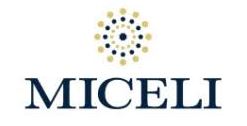 M.I.D. Miceli Ignazio