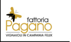 Fattoria Pagano
