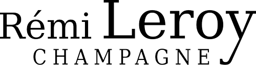 Remi Leroy