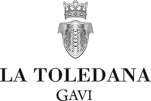 La Toledana Gavi