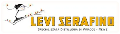 Levi Serafino