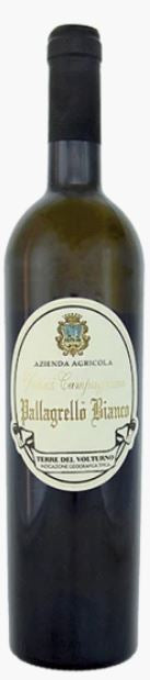 Pallagrello Bianco 2022 Terre del Volturno IGT