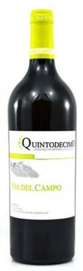 Falanghina DOC Irpinia Via del Campo 2016 Quintodecimo