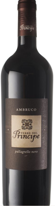 Pallagrello Nero Ambruco 2017 Igt Terre del Volturno Terre del Principe