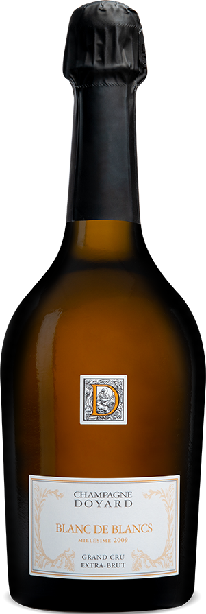 Champagne Extra BrutBlanc de Blancs grand Cru 2015 Doyard
