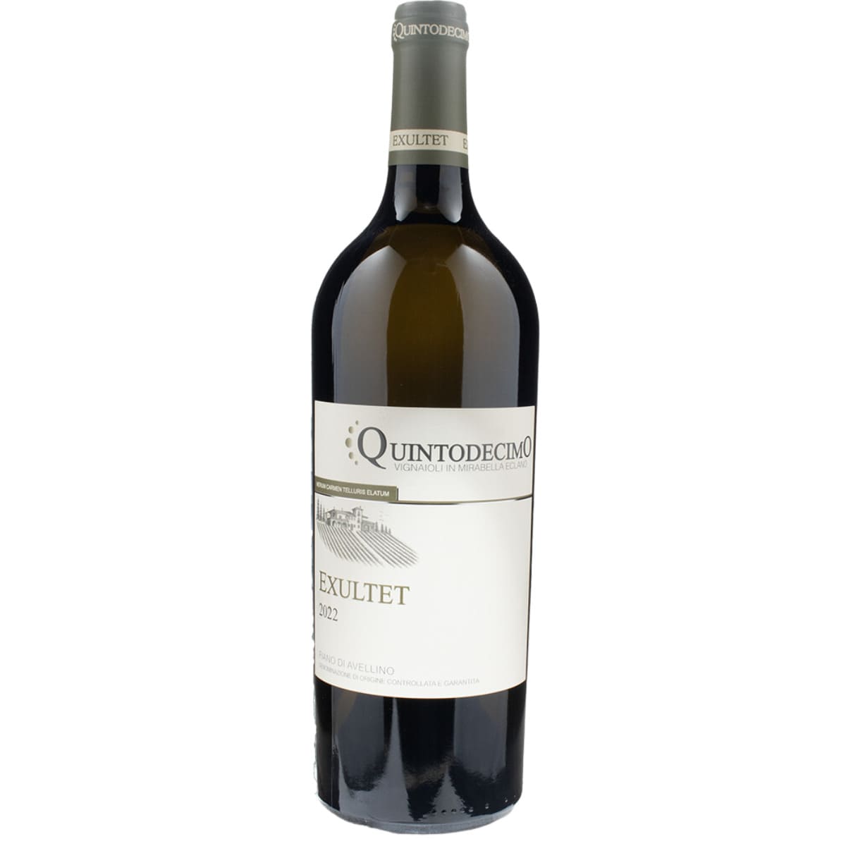 Exultet 2022 Fiano di Avellino DOCG Quintodecimo