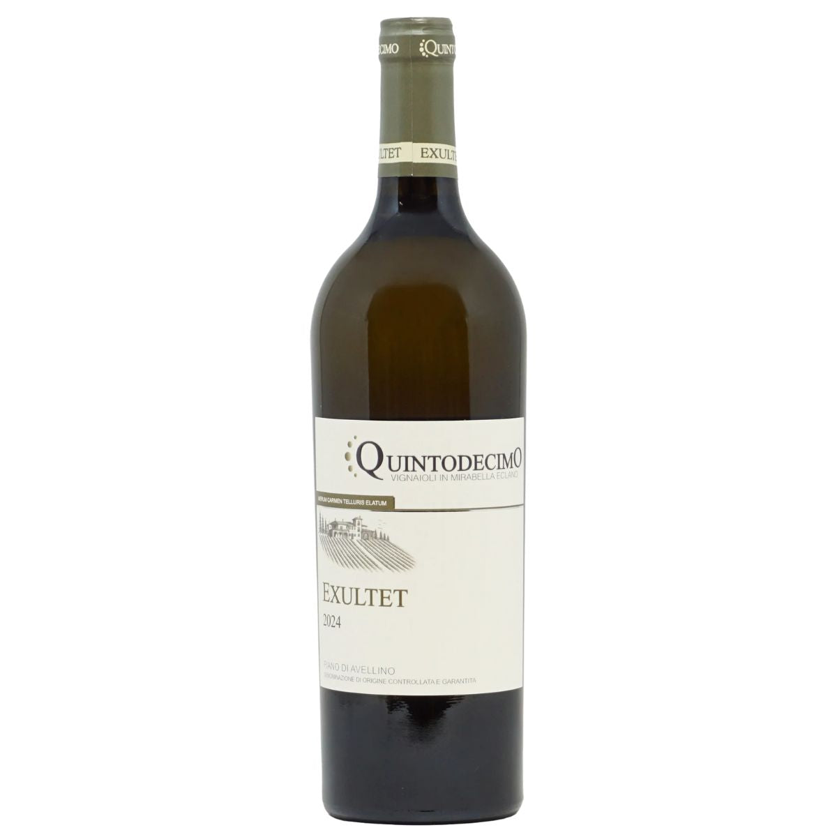 Exultet 2024 Fiano di Avellino DOCG Quintodecimo