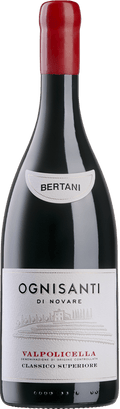 All Saints Valpolicella Classico Superiore 2021 Bertani
