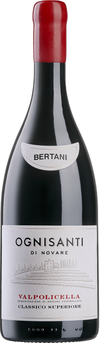 All Saints Valpolicella Classico Superiore 2021 Bertani