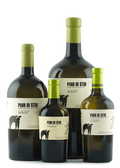 Pian di Stio 2021 Fiano BIO IGP Paestum San Salvatore