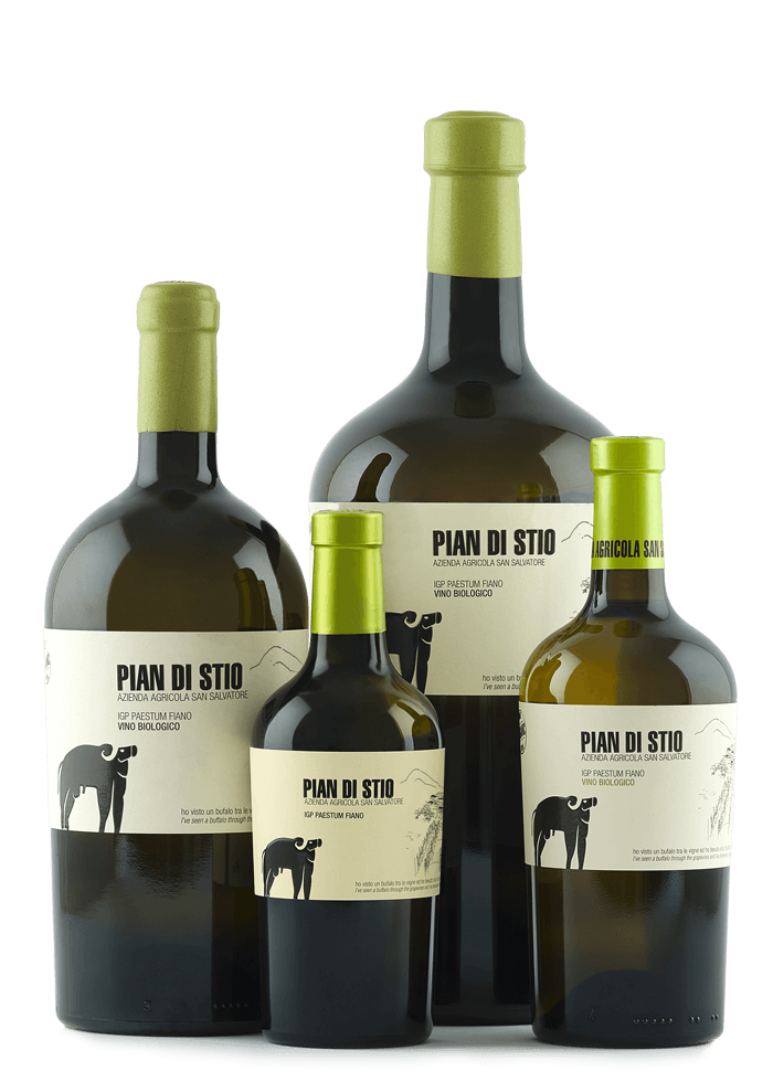 Pian di Stio 2021 Fiano BIO IGP Paestum San Salvatore