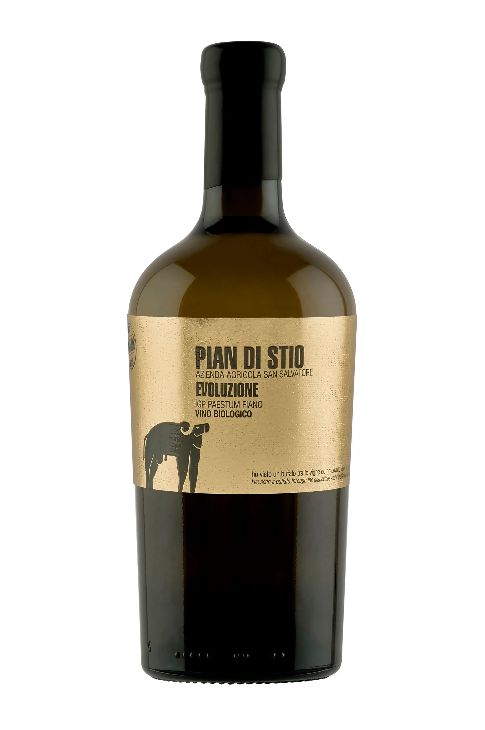 Pian di Stio Evoluzione 2020 IGP Paestum Fiano Bio San Salvatore PRODUZIONE LIMITATA