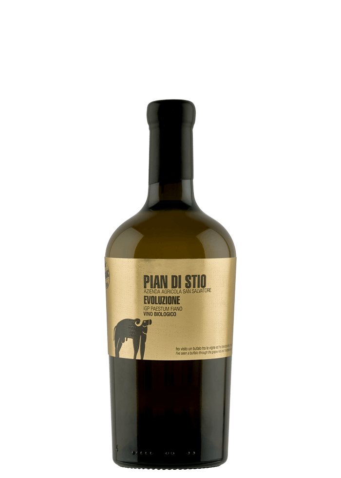 Pian di Stio Evoluzione 2020 IGP Paestum Fiano Bio San Salvatore PRODUZIONE LIMITATA