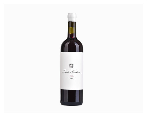 A IGT Tuscany 2020 Tenuta Carleone