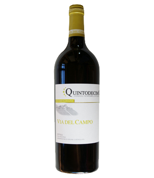 Falanghina Irpinia Via del Campo 2022 DOCG Quintodecimo