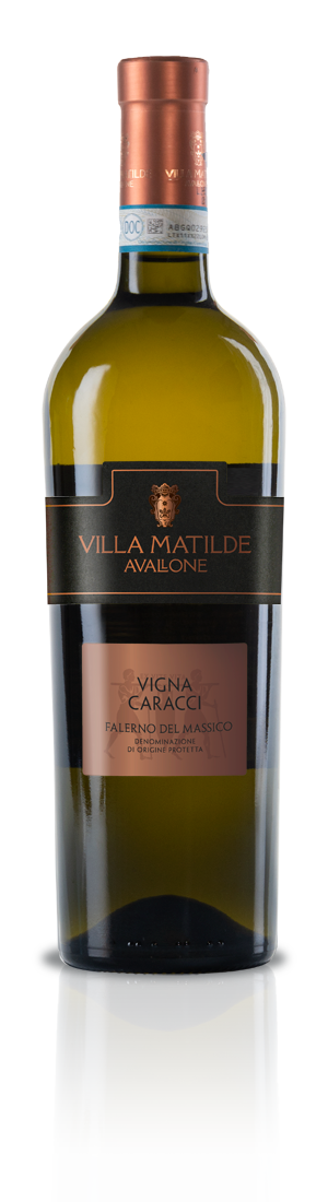 Vigna Caracci 2019 Falerno del Massico DOP Villa Matilde Avallone