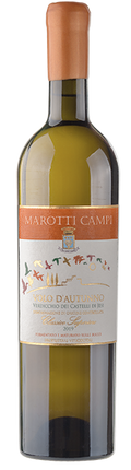 Volo D'Autunno 2020 Verdicchio dei Castelli di Jesi Classico DOC Superiore Marotti Campi