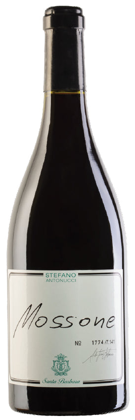 Mossone 2018 Marche rosso IGT Merlot Santa Barbara