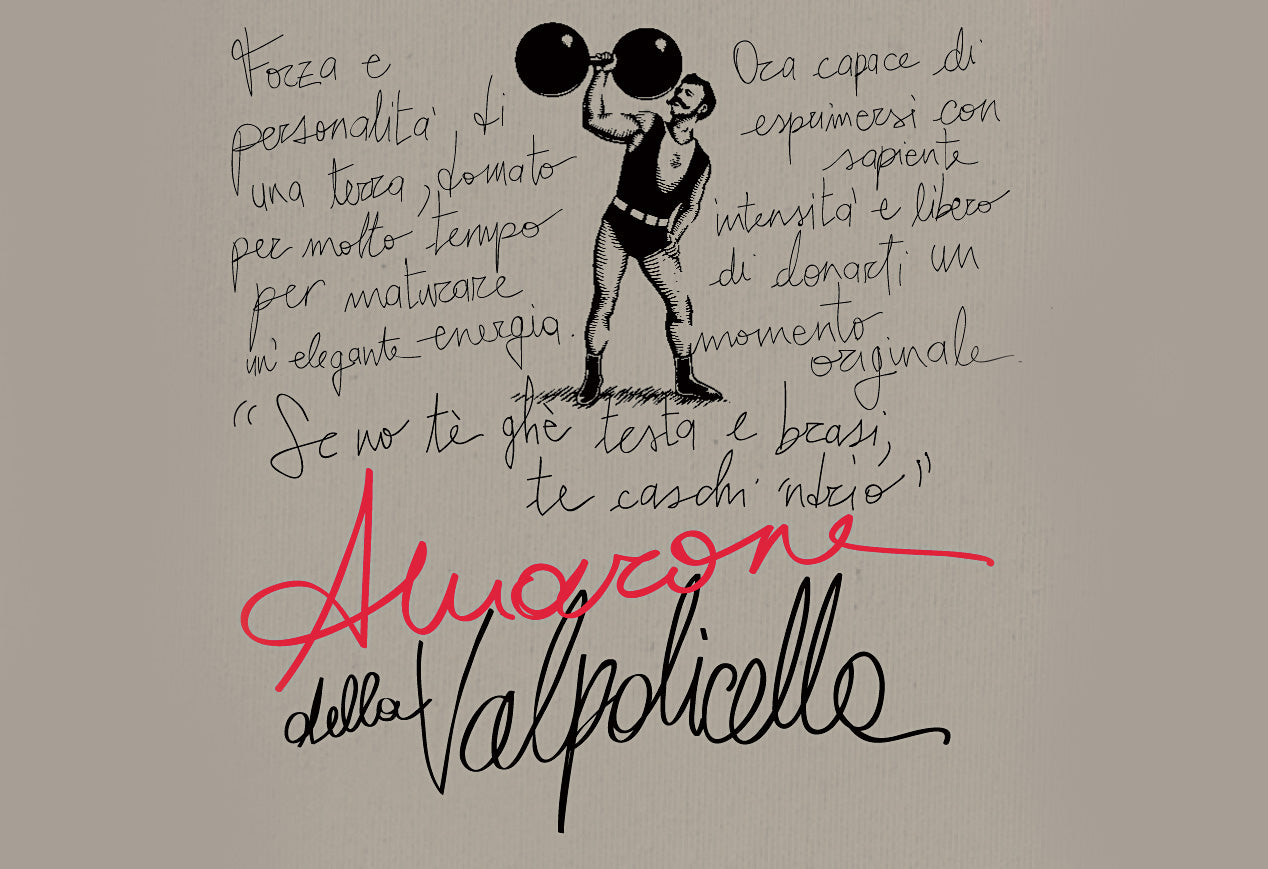 Amarone della Valpolicella Classico DOC 2016 Secondo Marco