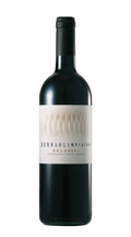 Donna Olimpia 1898 Bolgheri rosso DOC 2021