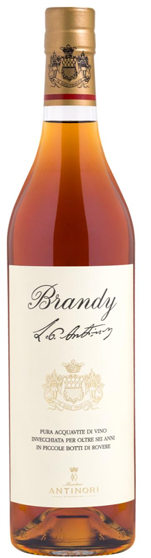Brandy Antinori