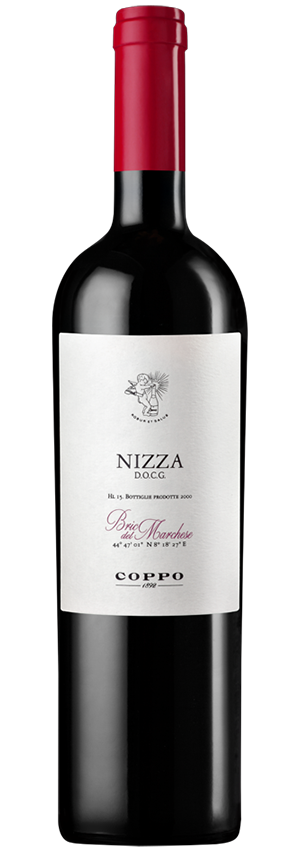 Bric del Marchese 2018 Nizza DOCG