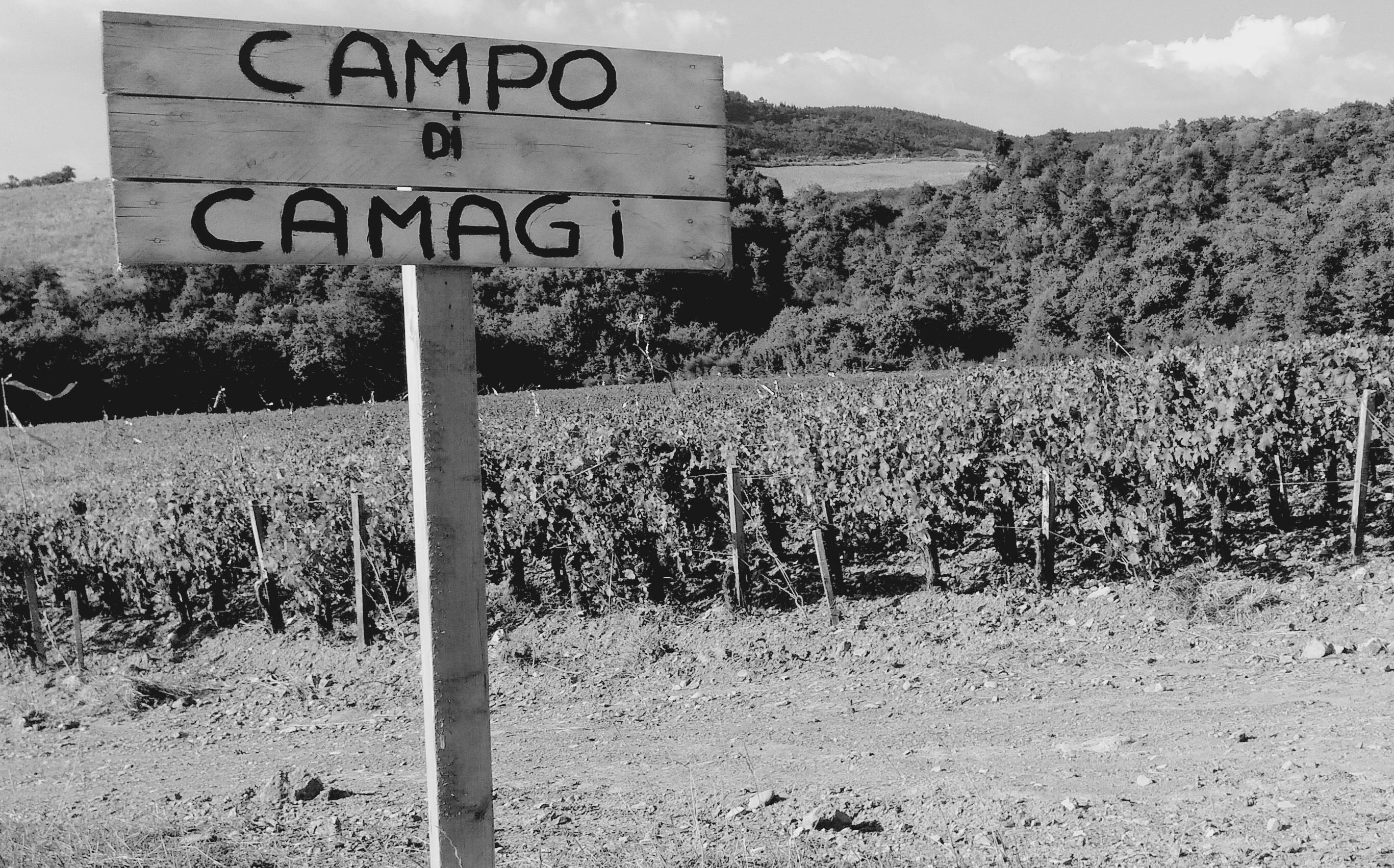Campo di Camagi IGT Rosso Toscano Cabernet Franc 2022 Tenuta di Trinoro