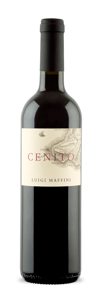 Cenito Aglianico DOC  Cilento 2021 Luigi Maffini
