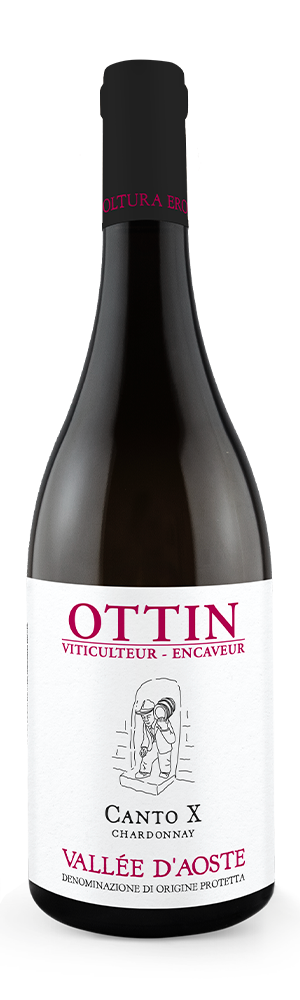 Chardonnay Canto X 2021 DOP Ottin