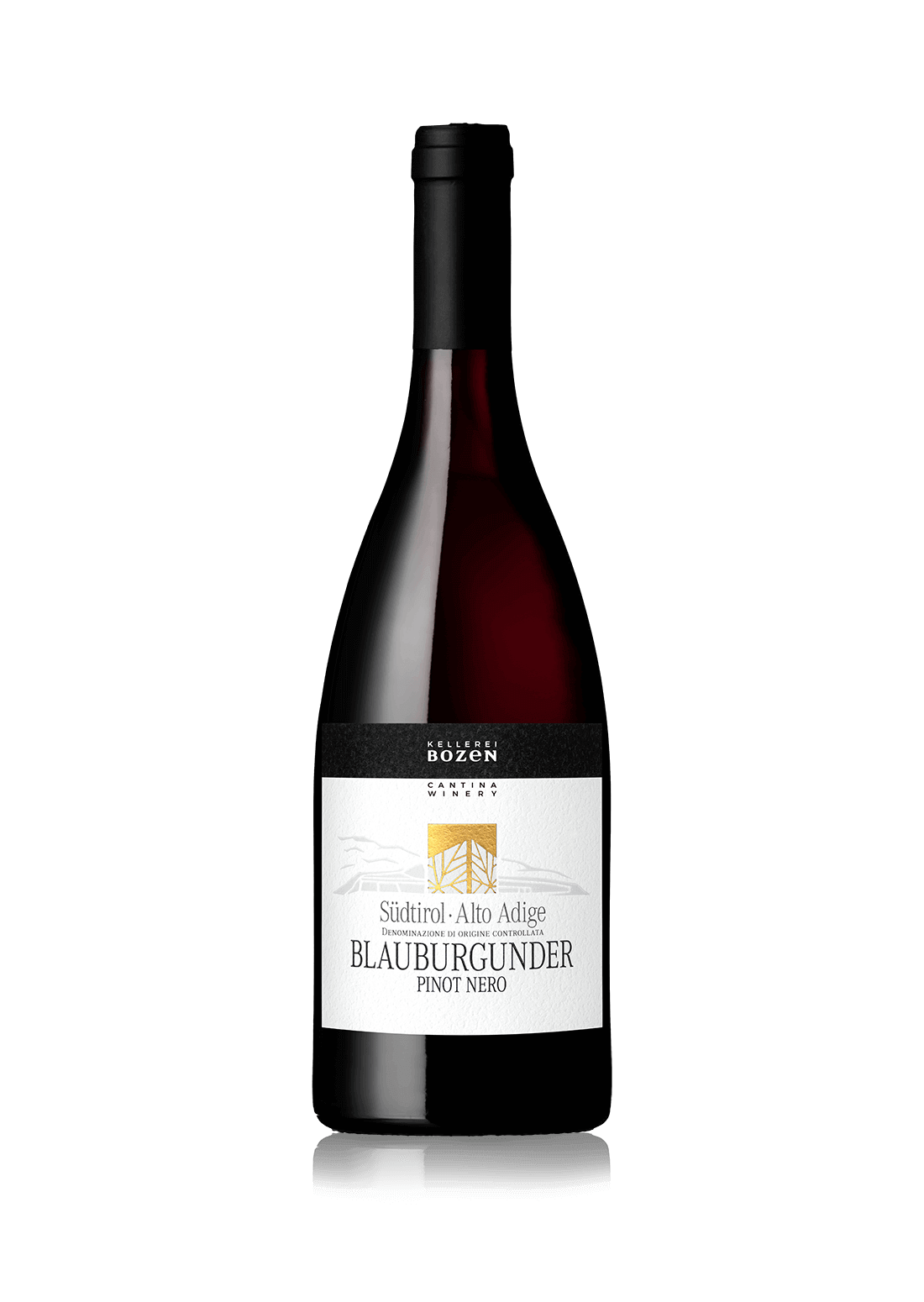 PINOT NERO South Tyrol • Alto Adige DOC 2023 Bolzano Producers Winery