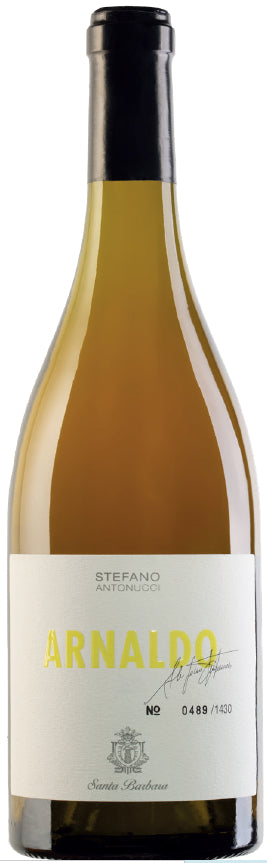 Verdicchio Castelli di Jesi Doc ,  ARNALDO Bio