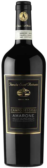 Amarone della Valpolicella Campo dei Gigli 2012 Tenuta Sant'Antonio