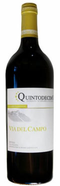 Falanghina Irpinia DOC Via del Campo 2024 Quintodecimo MAGNUM