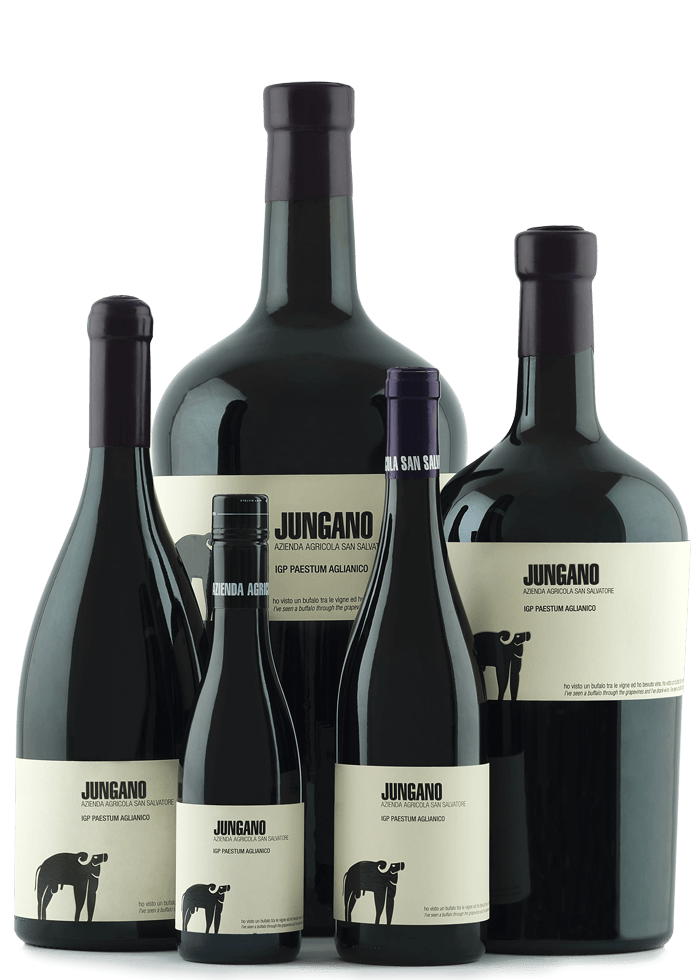Jungano 2019 IGP Paestum Aglianico Jeroboam de 3 Litros