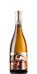 Verdicchio Castelli di Jesi DOC Classico Le Vaglie 2021 Santa Barbara