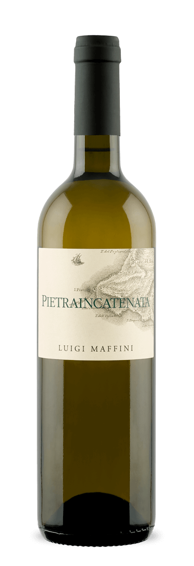 PIETRAINCATENATA  2022 Doc Cilento Fiano Bio Luigi Maffini