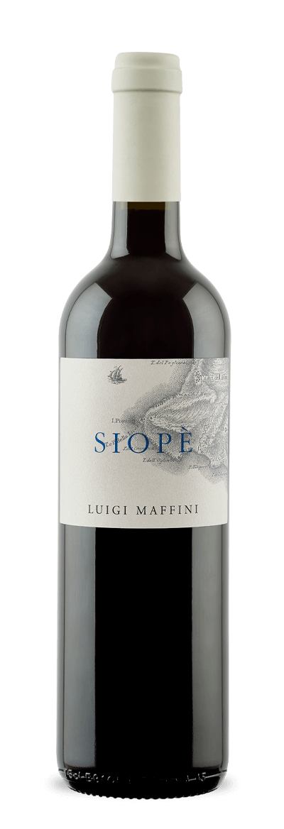 SIOPE' Dop Cilento Aglianico Orgánico 2016 Luigi Maffini