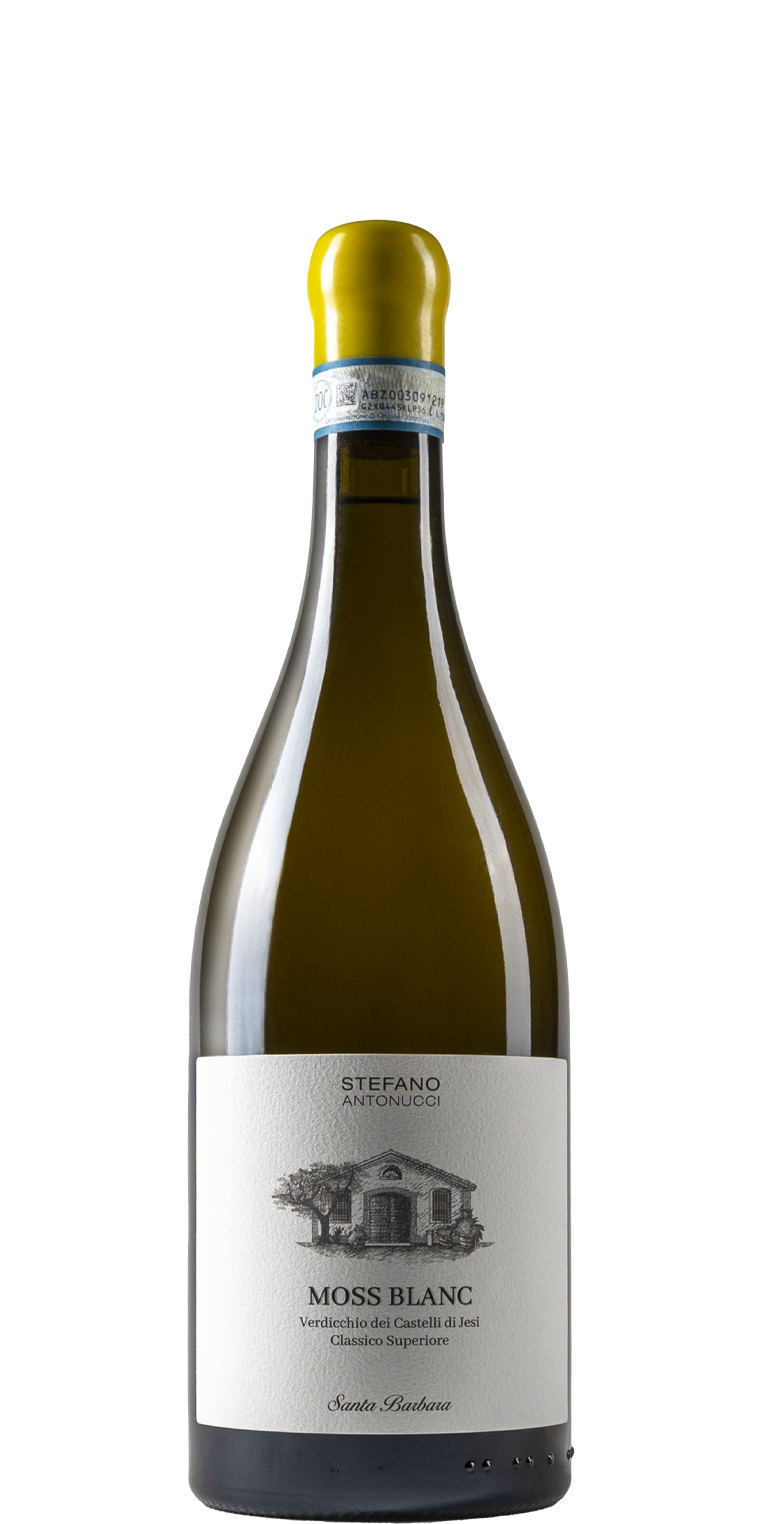 Verdicchio Castelli di Jesi DOC Classico Superiore Moss Blanc 2020 Santa Barbara
