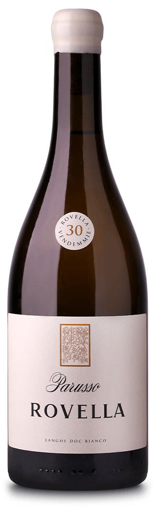 Sauvignon Rovella 30 Vendemmie Langhe DOC Parusso