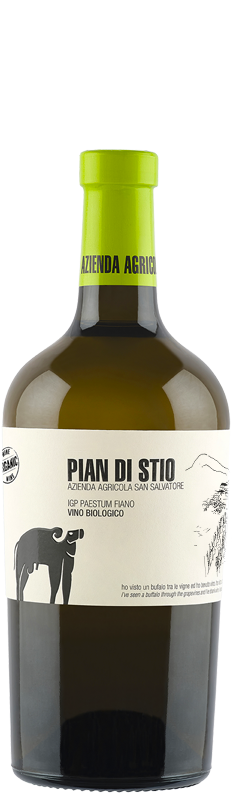 Pian di Stio IGP Paestum Fiano BIO 2022  San Salvatore