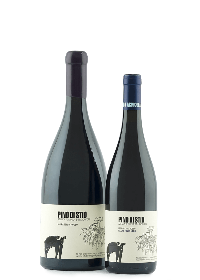 Pino di Stio igp paestum rojo 2019 San Salvatore