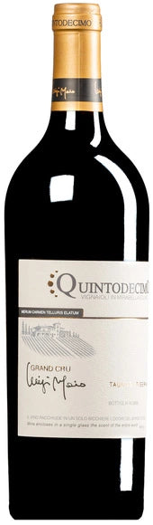 Taurasi Riserva DOCG 2019 "Grand Cru Luigi Moio” Quintodecimo MAGNUM Astuccio Legno