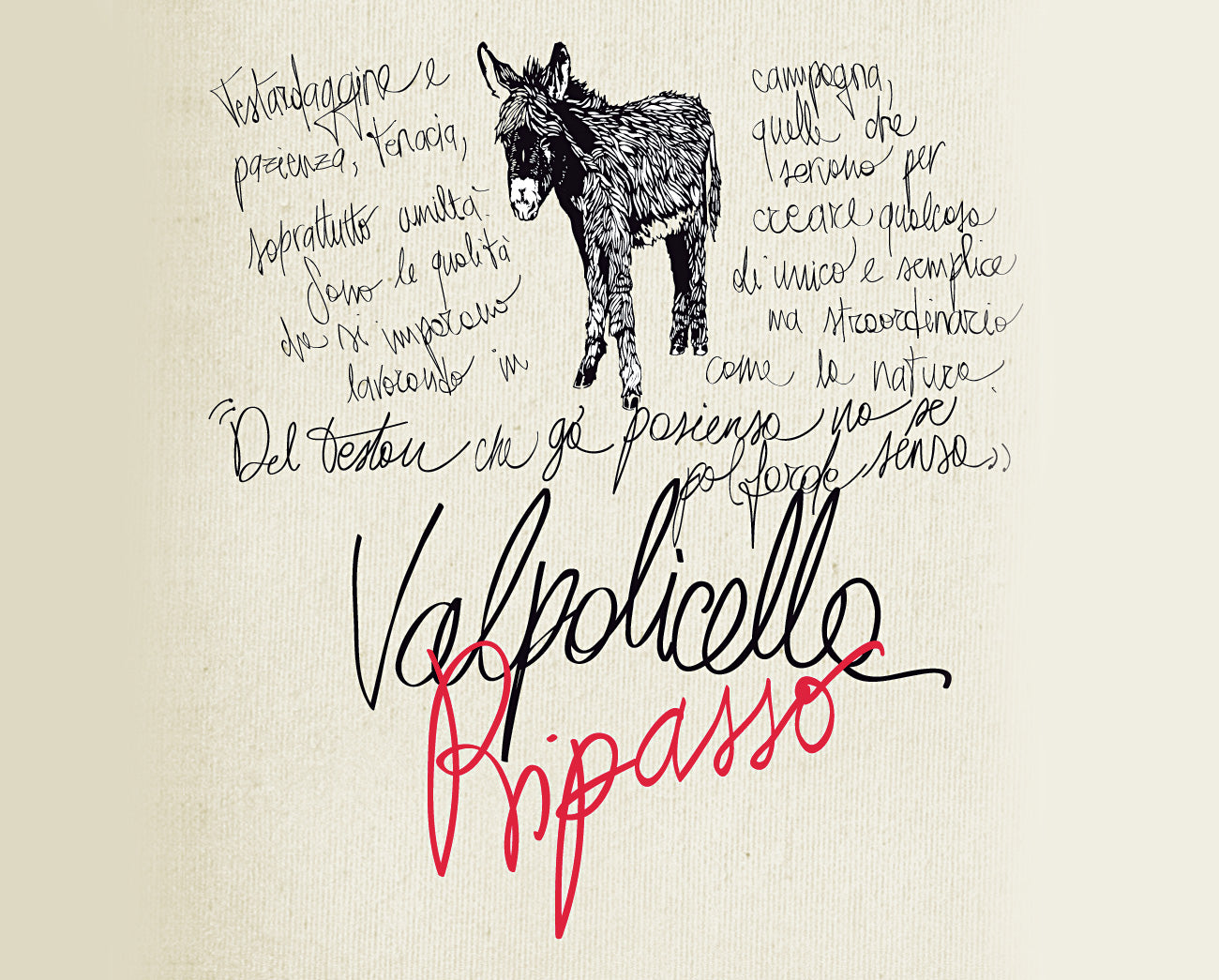 Valpolicella Classico 2019 Superiore DOC Ripasso According to Marco