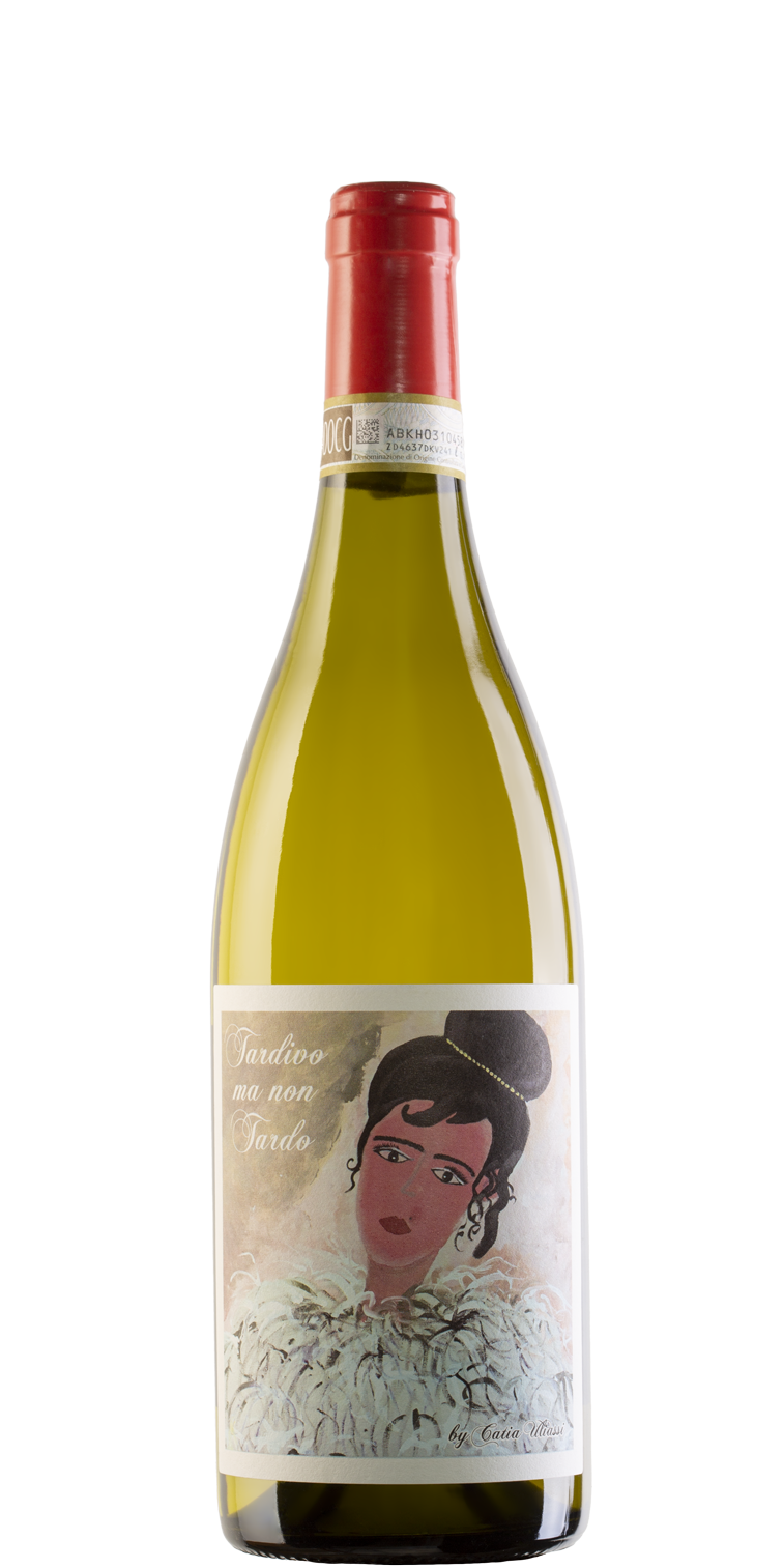 Verdicchio Castelli di Jesi DOCG Classic Reserve 2020 Late but not Late Santa Barbara Stefano Antonucci