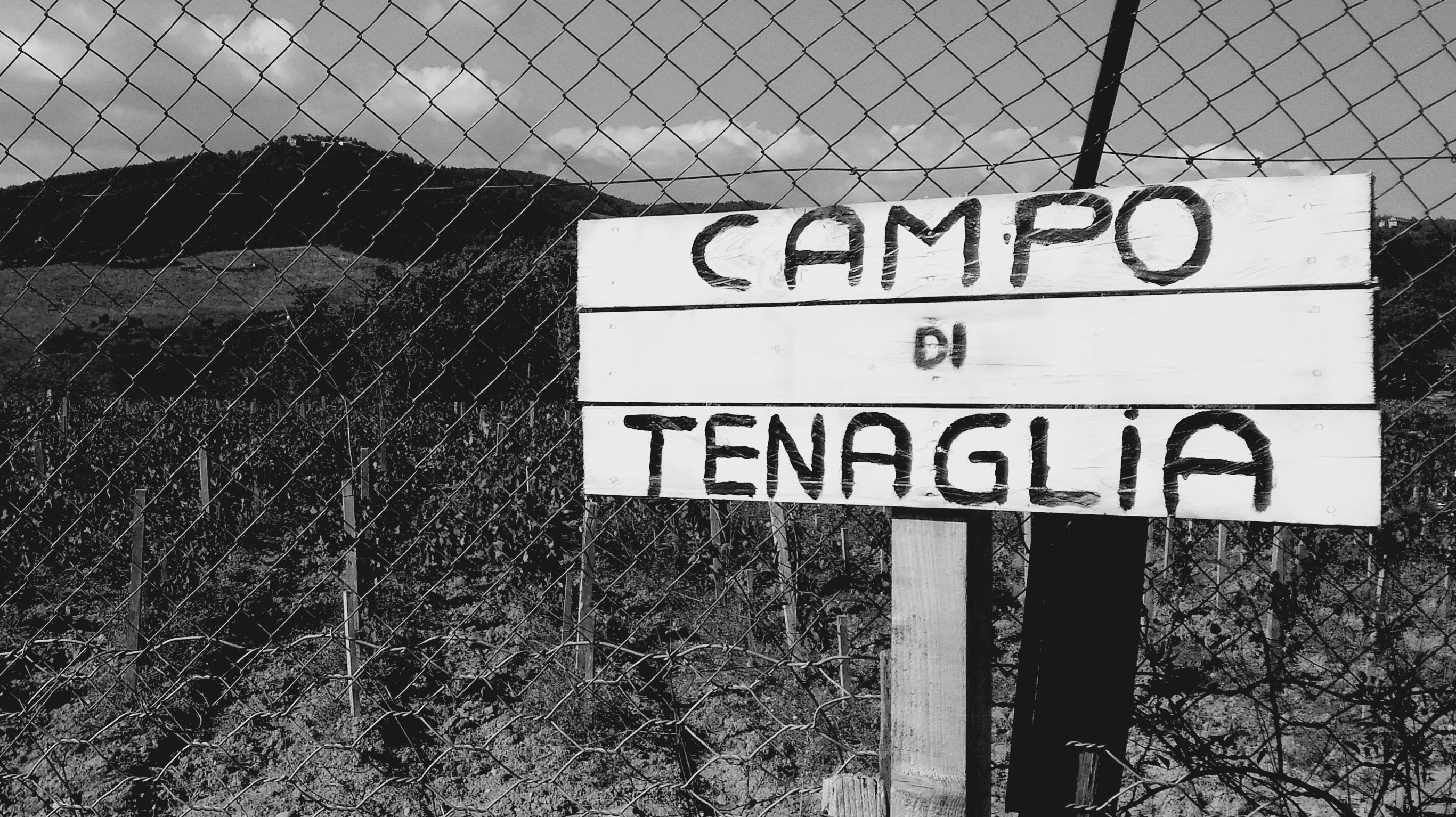 Campo di Tenaglia IGT Red Tuscan Cabernet Franc 2022 Tenuta di Trinoro