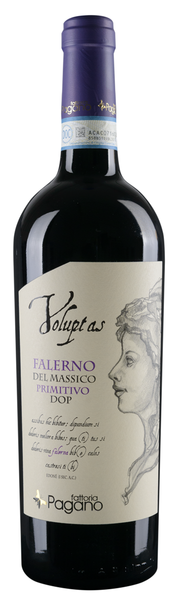 Voluptas Falerno del Massico Primitivo 2023 DOP Fattoria Pagano