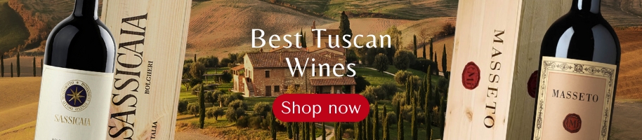 Best Tuscan Wines