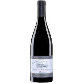 ​  Pinot Nero Alto Adige Selection Alexander Gottardi 2015 Mazzon